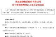 何为六爻600387，即将退市，又被证监会立案