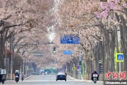 何为六爻共建“花园城市” 北京这场议政会“百花齐放”