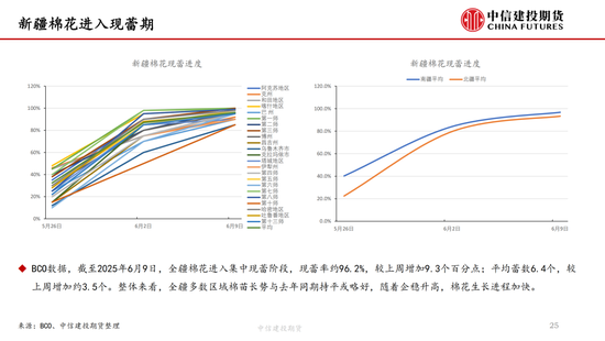 【棉花纺谈】供应端阶段性(📌)缩量 疆棉基差坚挺